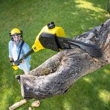 Best Lawn Mowing Services  in USA